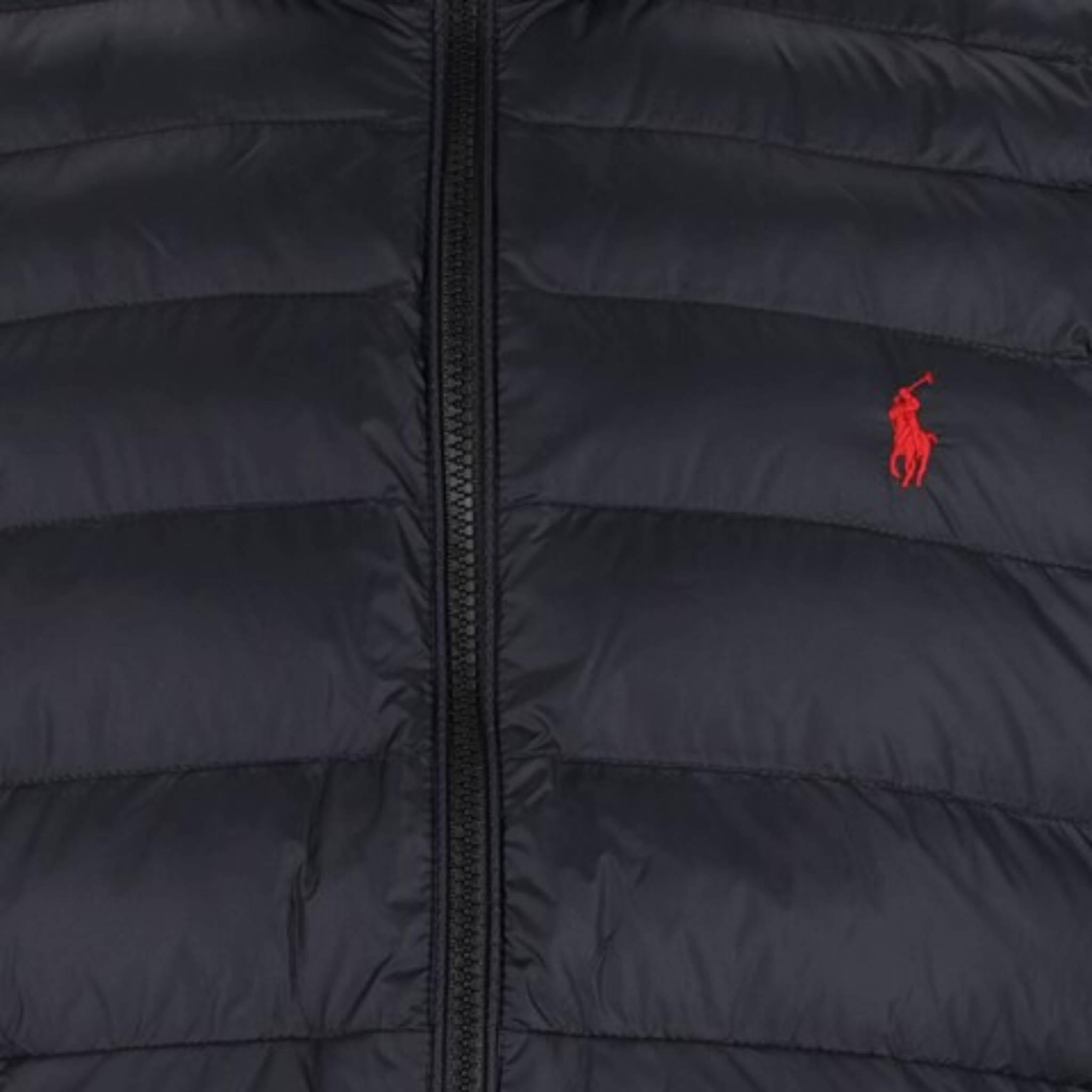 RL Puffed Jacket
